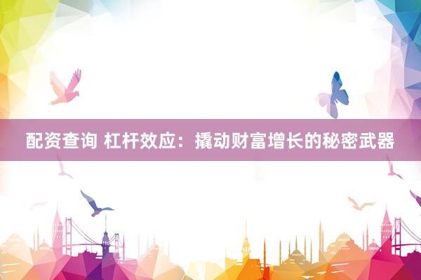 配资查询 杠杆效应：撬动财富增长的秘密武器
