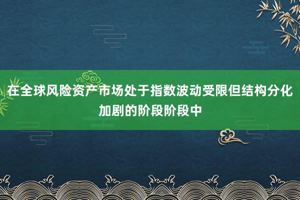 在全球风险资产市场处于指数波动受限但结构分化加剧的阶段阶段中