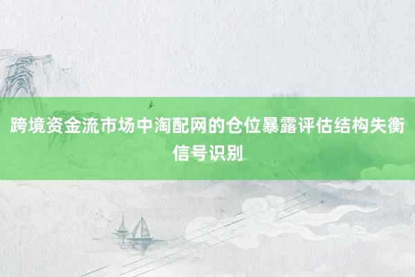 跨境资金流市场中淘配网的仓位暴露评估结构失衡信号识别