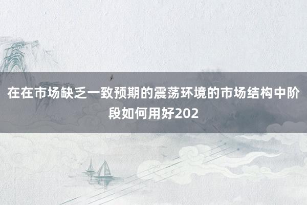 在在市场缺乏一致预期的震荡环境的市场结构中阶段如何用好202
