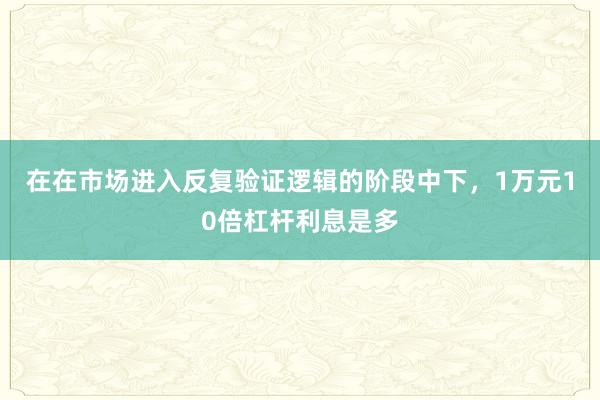 在在市场进入反复验证逻辑的阶段中下，1万元10倍杠杆利息是多