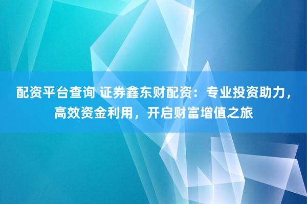 配资平台查询 证券鑫东财配资：专业投资助力，高效资金利用，开启财富增值之旅