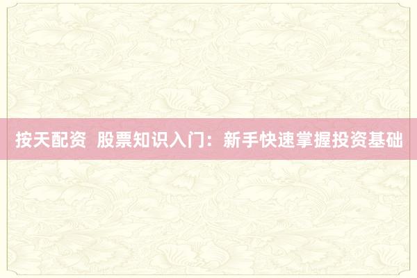 按天配资  股票知识入门：新手快速掌握投资基础